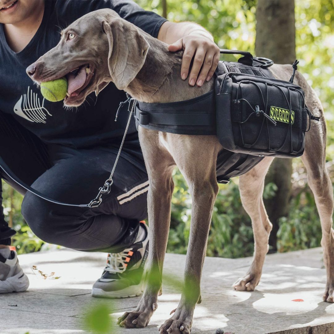 OneTigris Dog Backpack for Hiking Nylon Dog Harness Backpack with Side ...